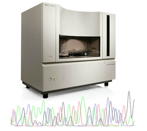 Pathogenomix Ripseq - Pure and mixed chromatograms - polymicrobial sample analysis from one run
